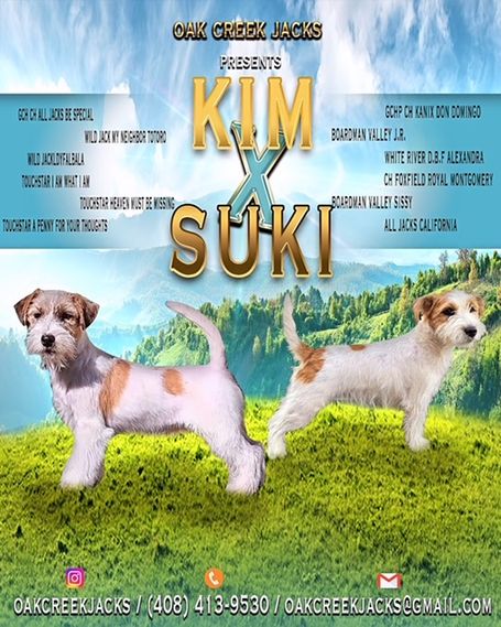 upcoming litter near me 